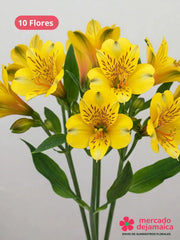 Alstroemerias amarillas