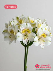 Alstroemerias blancas ramo