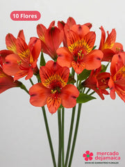 Alstroemerias rojas ramo
