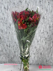 Alstroemerias rojas ramo