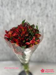 Alstroemerias rojas ramo