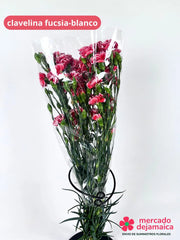 Clavelina Fucsia Ramo
