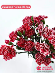 Clavelina Fucsia Ramo