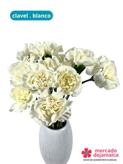 Clavel Blanco