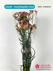 Clavel Mariposa