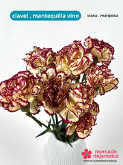 Clavel Mariposa