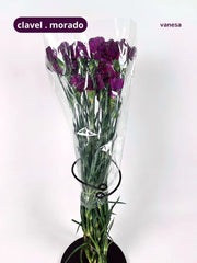 Clavel Morado