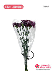 Clavel Nobbios