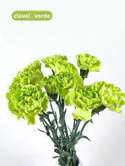 Claveles Verdes