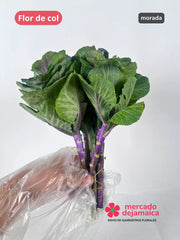 Flor de col morada