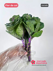 Flor de col morada