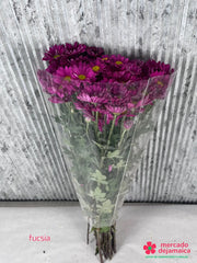 Margaritas fucsia ramo