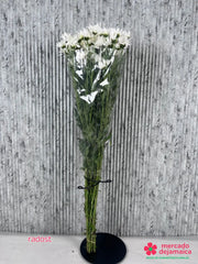 Radost ramo de flores