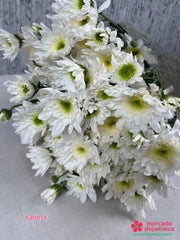 Radost ramo de flores