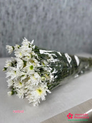 Radost ramo de flores