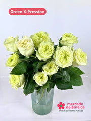 Green X-Pression Rosas Inglesa