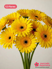 Gerberas amarillas caja