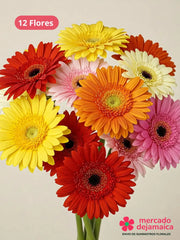 Gerberas caja mixta
