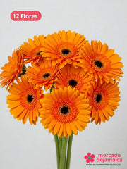 Gerberas naranja caja