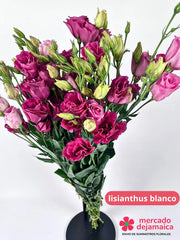 Lisianthus Rosa Intenso