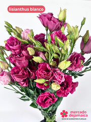 Lisianthus Rosa Intenso