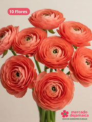Ranunculus Durazno