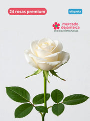 Rosas Blanca Et.Azul
