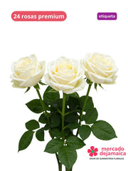 Rosas Blanca Et. Morado