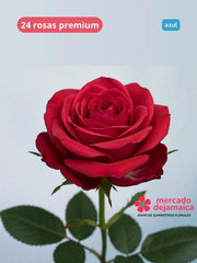 Rosas Roja Et. Azul