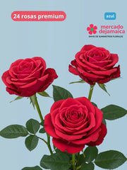 Rosas Roja Et. Azul
