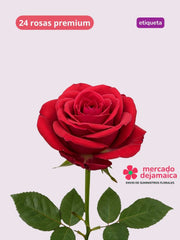 Rosas Roja Et. Morada