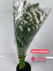 Statice Blanco